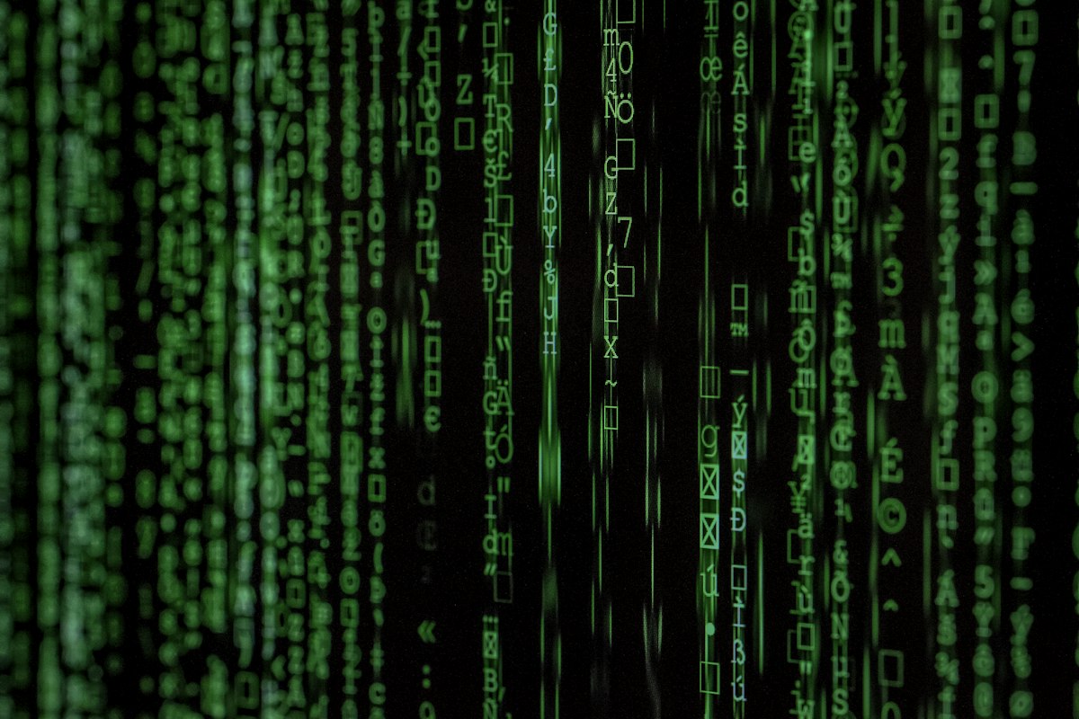 Domain-Fine-Tuned LLMs